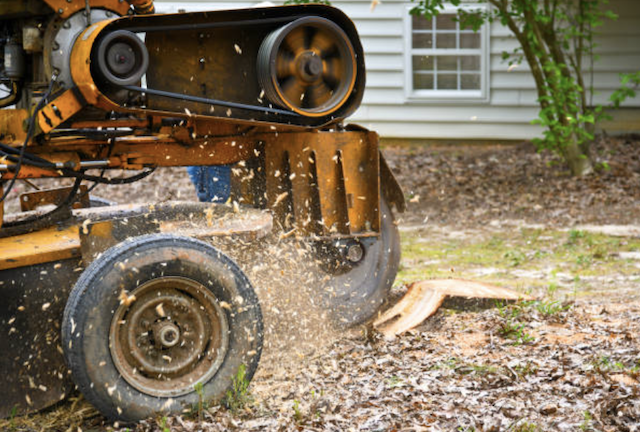 stump grinding nassau ny